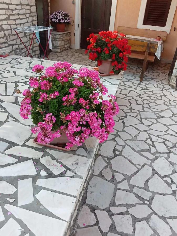 Apartmani Jurman Matohanci Buitenkant foto